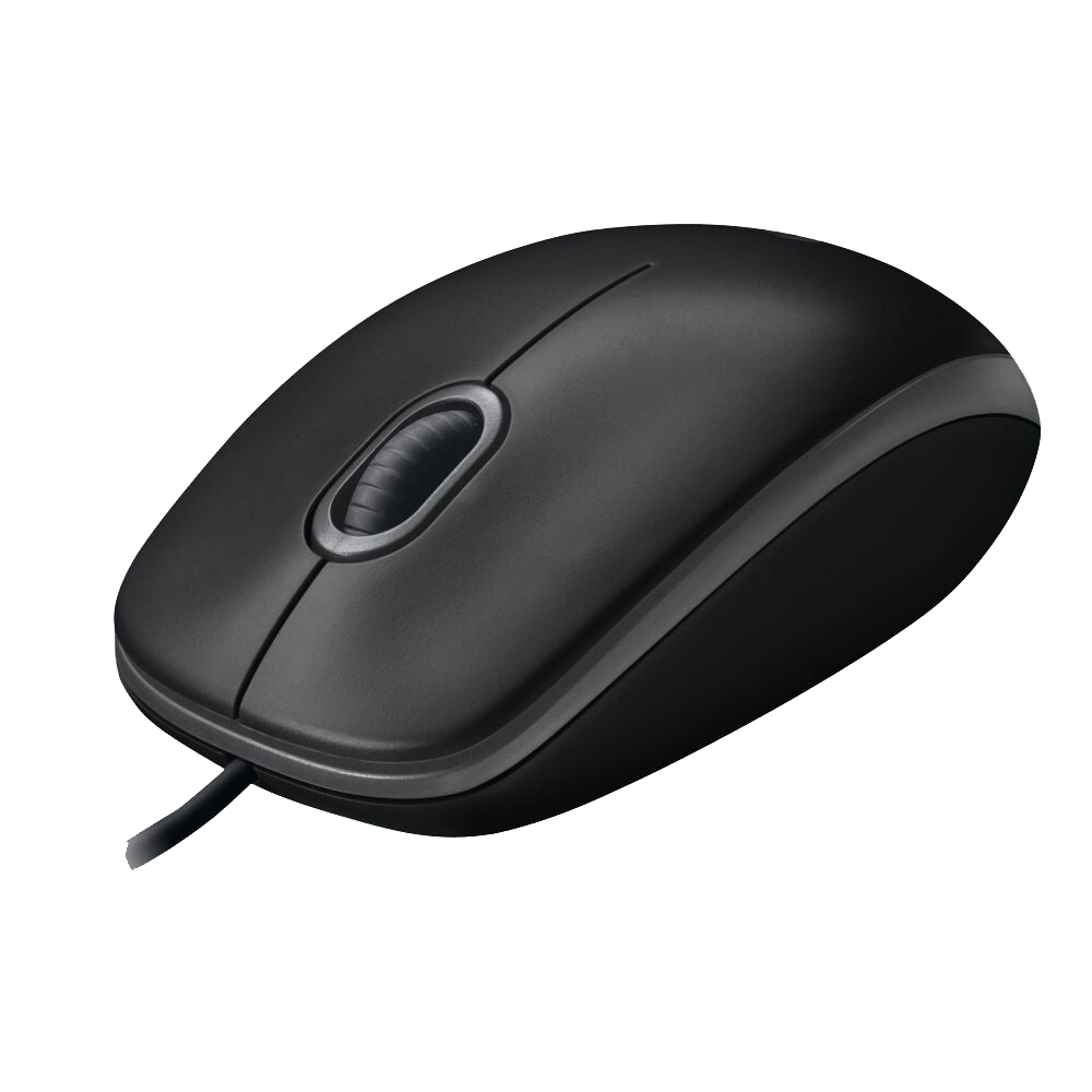 LOGITECH Mouse B100